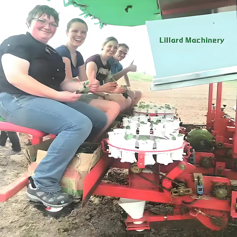 Chili transplanter